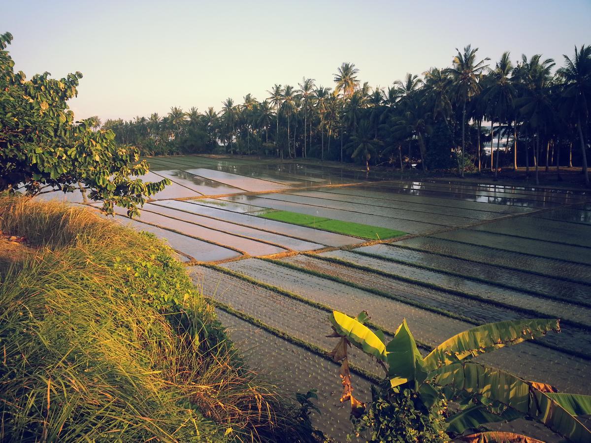 Bali Beach Eco Villas Pondok Matekap Selemadeg  Exterior foto