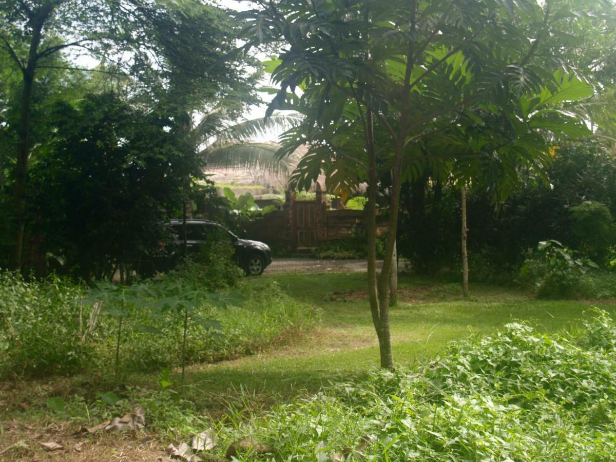 Bali Beach Eco Villas Pondok Matekap Selemadeg  Exterior foto